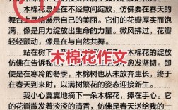 舒婷笔下的木棉花有何深意？