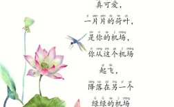 儿童微诗歌，童趣何在？