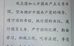 共青团名言，共青团名言经典语录