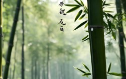 王维竹里馆诗歌如何体现隐居生活的宁静之美？