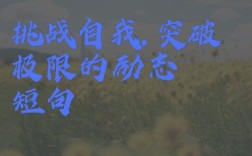 挑战的名人名言，关于挑战的名人名言