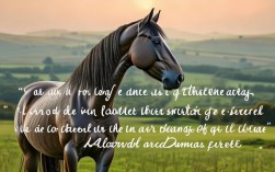 马的名言，大仲马的名言