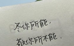 尽己能名言，尽己所能的名言