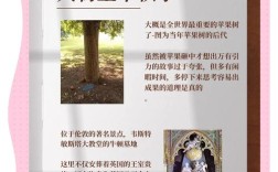 牛顿的科学名言揭示了什么真理？