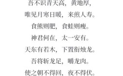 李贺诗歌的艺术特点，李贺诗歌的艺术特点包括