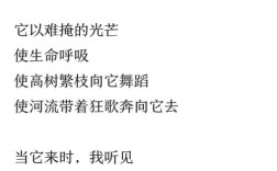 假如我是太阳，诗歌能照亮什么？