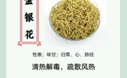 金银花诗中藏何情？