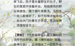 远征军诗歌有何家国情怀？