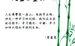 名言如何定义挑战的真谛？