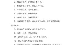 收获名言，何为真智慧？