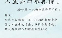 关于人生感悟的诗歌，关于人生感悟的诗歌有哪些