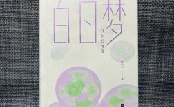 白日梦的诗意是幻影还是远方？