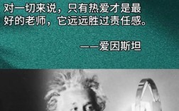 爱因斯坦说天才是？