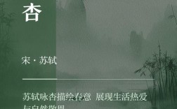 杏子名言，杏子的语录