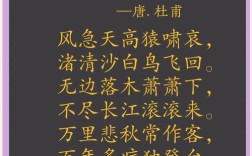 杜莆的名言，杜莆的名言名句