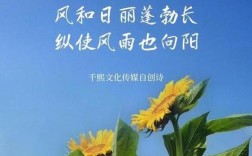 阳光诗句名言，藏着什么秘密？