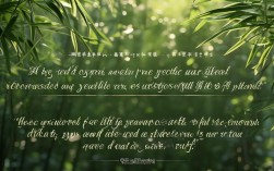 清风教育名言警句，何为育人精髓？