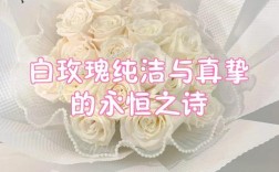 白玫瑰 诗歌，白玫瑰诗歌英文