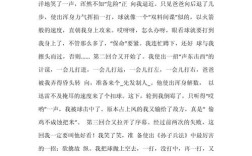 赞美羽毛球的诗歌，赞美羽毛球的诗歌朗诵