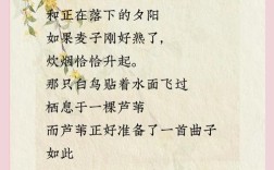 诗歌如何表达情感与思想？