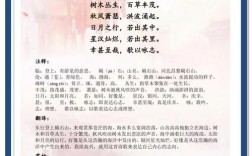 诗歌有何独特魅力与价值？