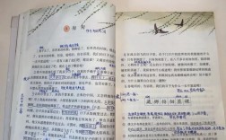 匆匆的诗歌，藏着怎样的时光？