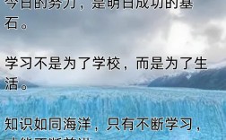 关于学习和成功的名言