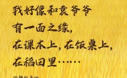 袁隆平名言有何深意？