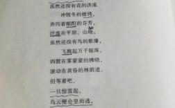 舒婷诗歌的现代性何在？