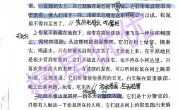 松鼠入诗，何魅力？