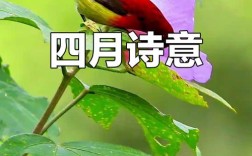 四月诗歌，藏着怎样的春日私语？