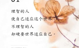 凡尔纳名言有何深意？