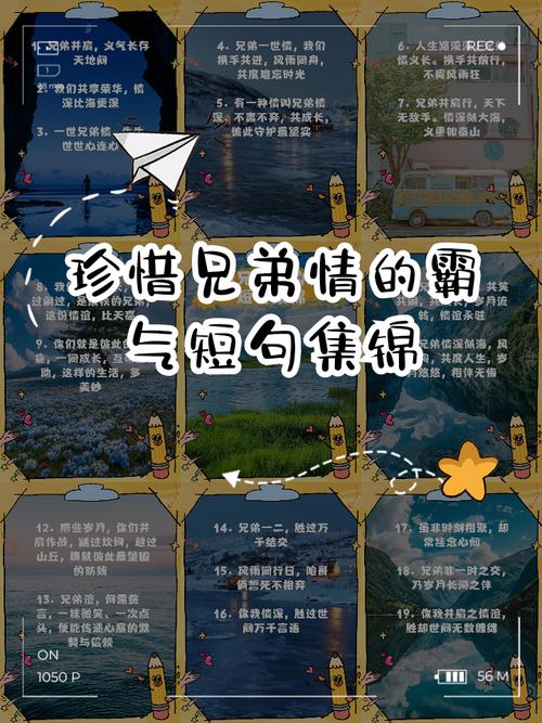 兄弟名言,何为真义?-图1 兄弟名言,何为真义?-图1