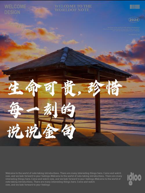 名言如何教会我们珍视生命？-图3