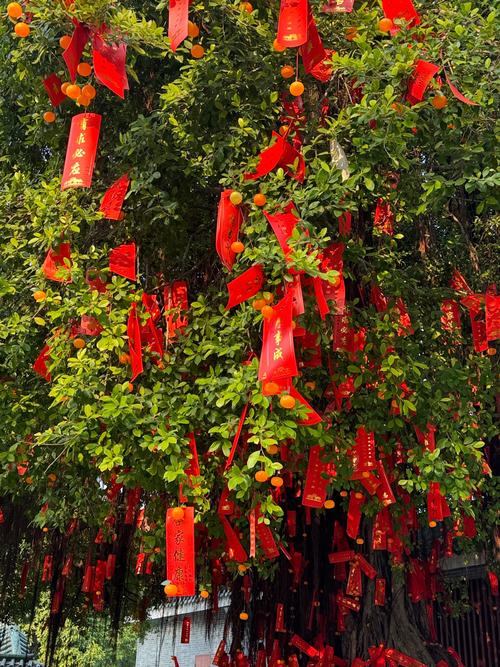 许愿树诗歌，藏着多少未说的心愿？-图3