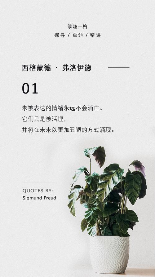 弗洛伊德名言，究竟藏着怎样的心理奥秘？-图1