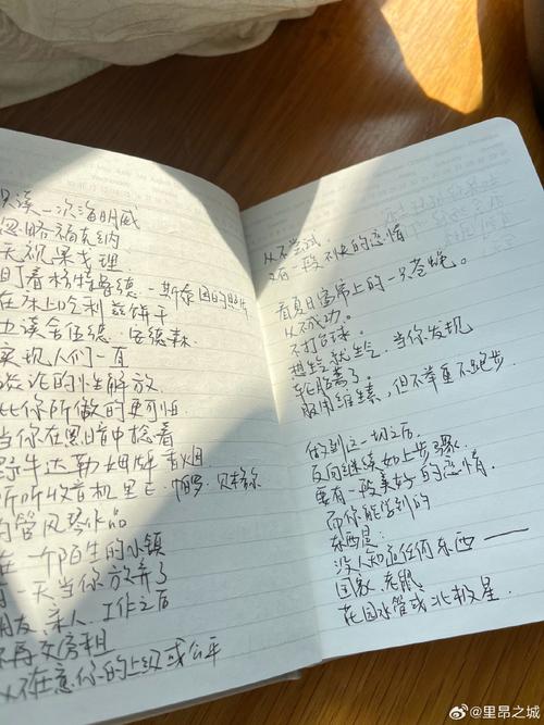 里昂诗歌，藏着怎样的灵魂与故事？-图3