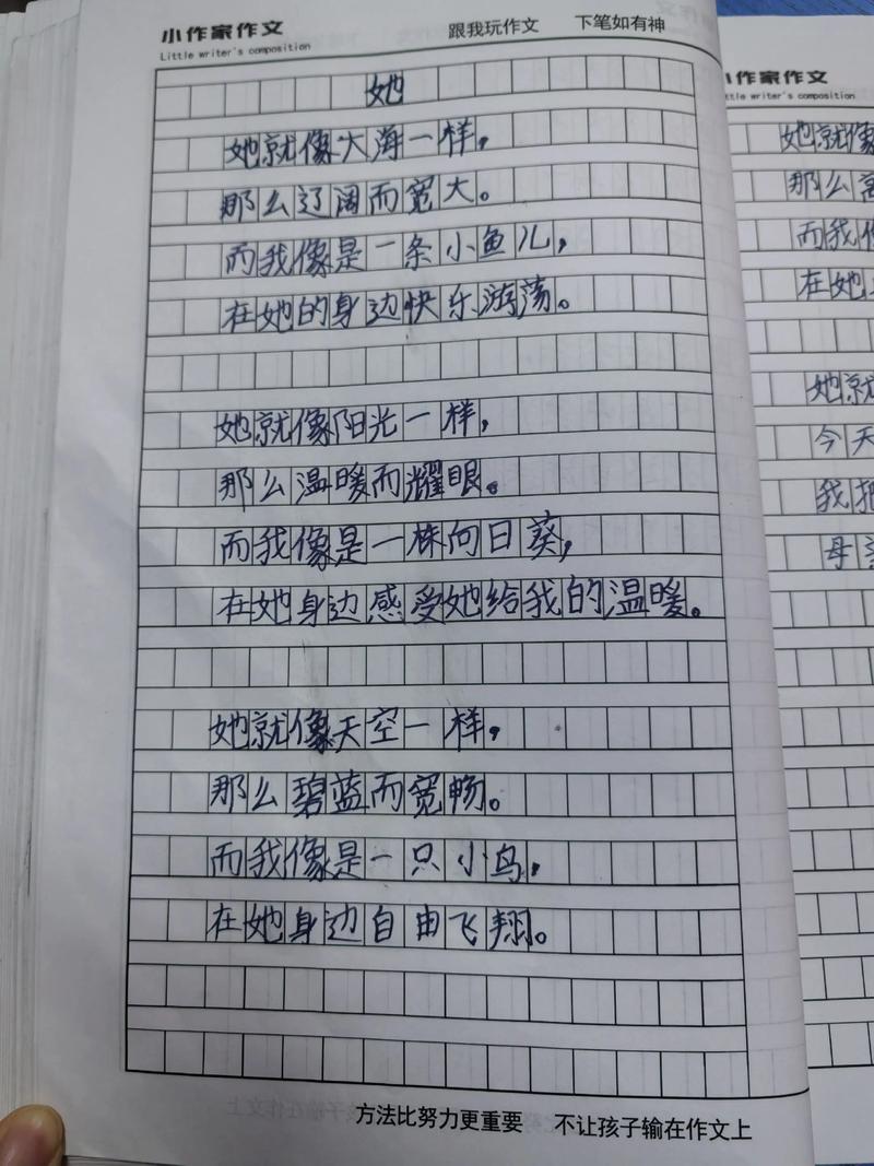 母爱为主题的诗歌-图1