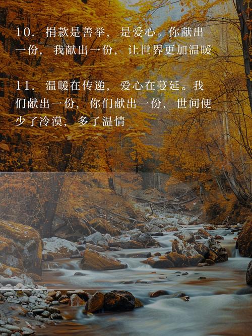 捐款名言背后藏着怎样的深意?-图2 捐款名言背后藏着怎样的深意?-图2