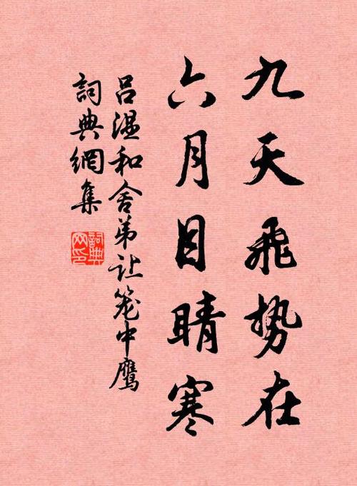 鹰的诗歌，藏着怎样的天空与自由？-图2