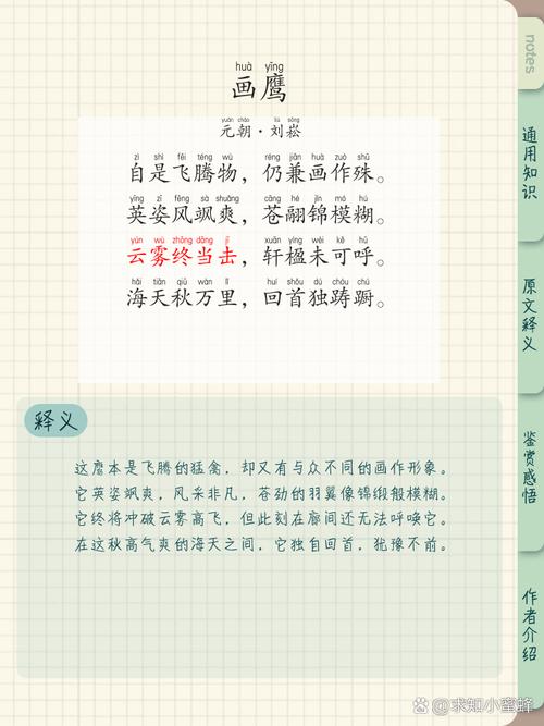 鹰的诗歌，藏着怎样的天空与自由？-图1