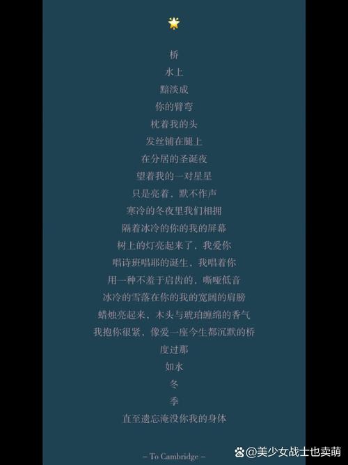 圣诞节诗歌朗诵大全有哪些经典作品？-图2