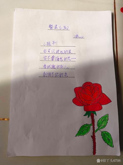 星星与花,谁更懂天空的温柔?-图2 星星与花,谁更懂天空的温柔?-图2