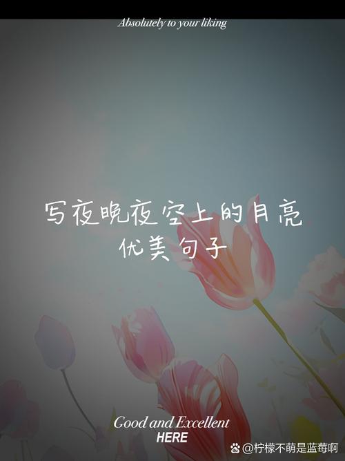 夜晚名言,藏着怎样的生活智慧?-图3 夜晚名言,藏着怎样的生活智慧?-图3