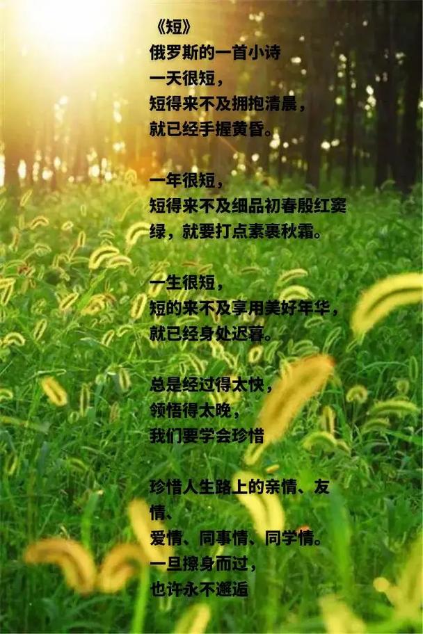 世界上最短的诗,为何字字皆成永恒?-图2 世界上最短的诗,为何字字皆成永恒?-图2