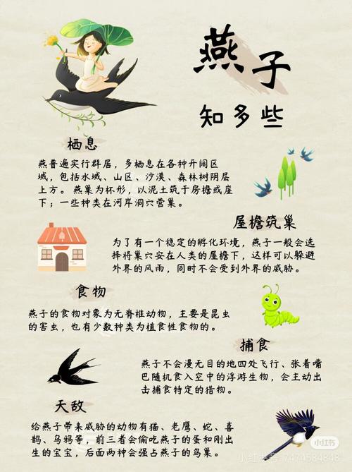 燕子有哪些经典名言？-图2