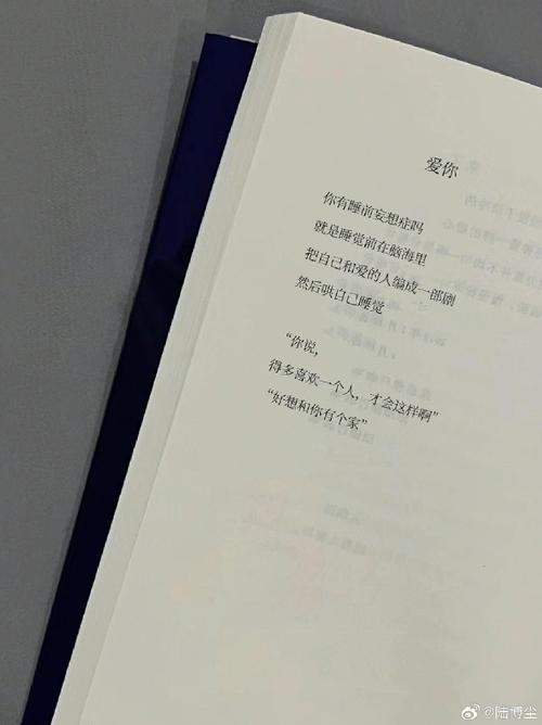 你这样说诗歌-图2