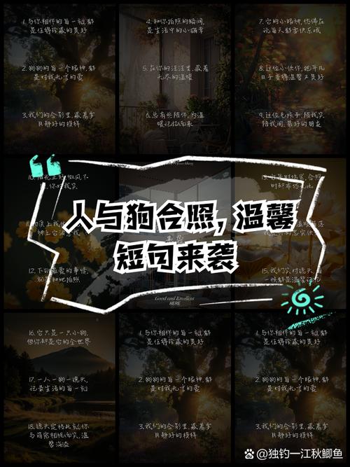 人与动物名言，藏着怎样的生命共鸣？-图3