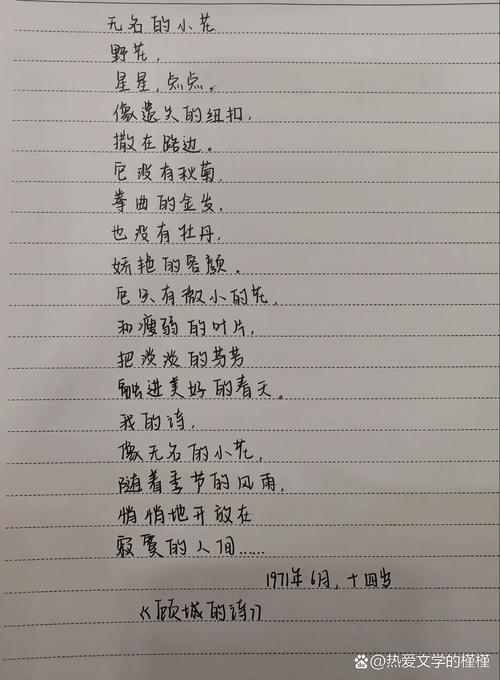 何为淡淡诗歌的淡淡意境与独特韵味？-图3