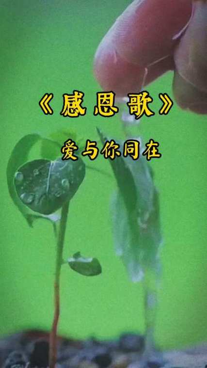 诗歌恩,是恩赐还是枷锁?-图3 诗歌恩,是恩赐还是枷锁?-图3